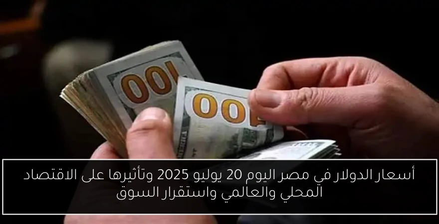 أسعار الدولار في مصر اليوم 20 يوليو 2025 وتأثيرها على الاقتصاد المحلي والعالمي واستقرار السوق