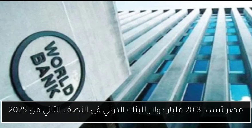 مصر تسدد 20.3 مليار دولار للبنك الدولي في النصف الثاني من 2025