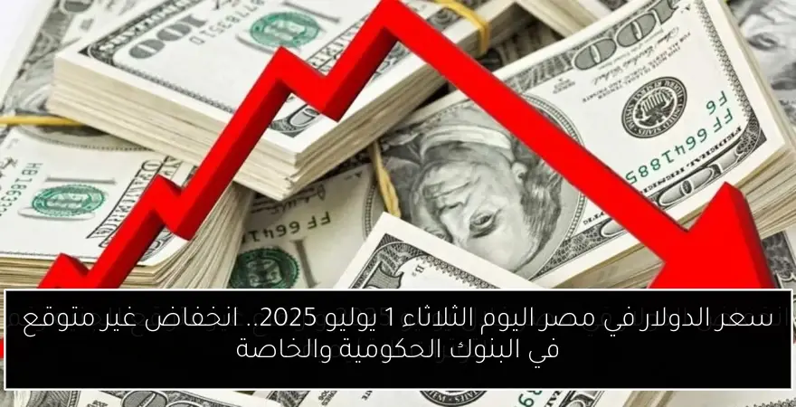 سعر الدولار في مصر اليوم الثلاثاء 1 يوليو 2025.. انخفاض غير متوقع في البنوك الحكومية والخاصة