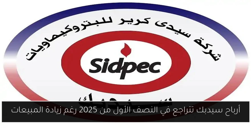 أرباح سيدبك تتراجع في النصف الأول من 2025 رغم زيادة المبيعات