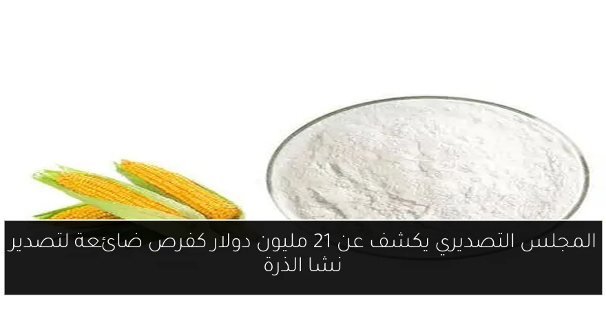 المجلس التصديري يكشف عن 21 مليون دولار كفرص ضائعة لتصدير نشا الذرة