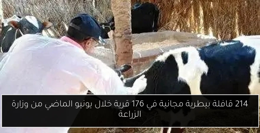 214 قافلة بيطرية مجانية في 176 قرية خلال يونيو الماضي من وزارة الزراعة