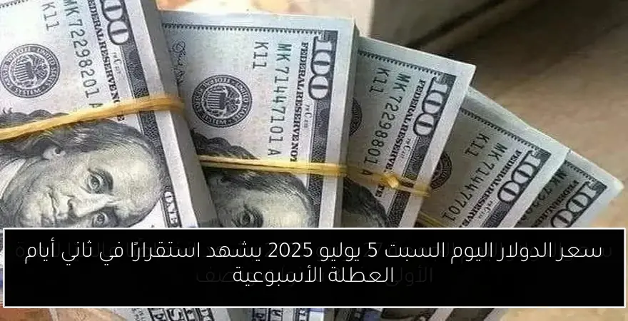 سعر الدولار اليوم السبت 5 يوليو 2025 يشهد استقرارًا في ثاني أيام العطلة الأسبوعية