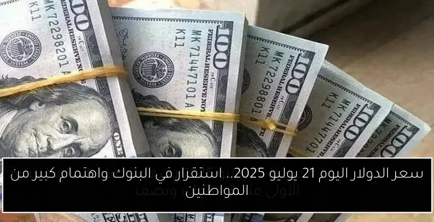 سعر الدولار اليوم 21 يوليو 2025.. استقرار في البنوك واهتمام كبير من المواطنين