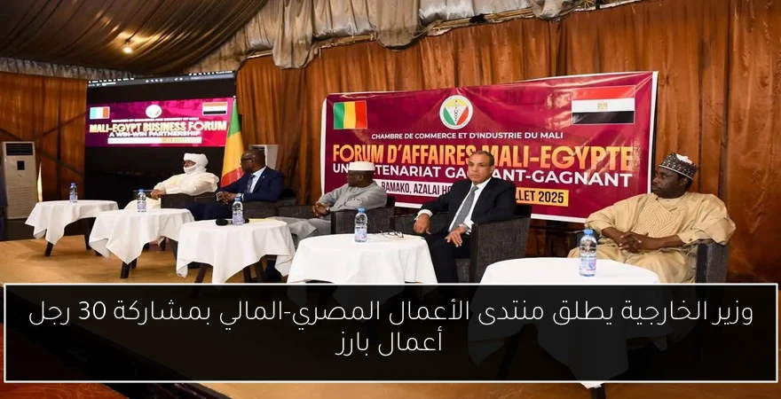 وزير الخارجية يطلق منتدى الأعمال المصري-المالي بمشاركة 30 رجل أعمال بارز