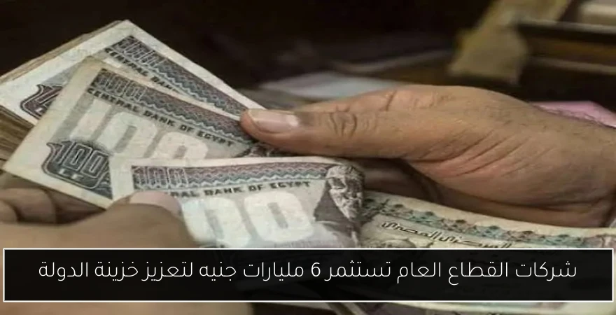 شركات القطاع العام تستثمر 6 مليارات جنيه لتعزيز خزينة الدولة