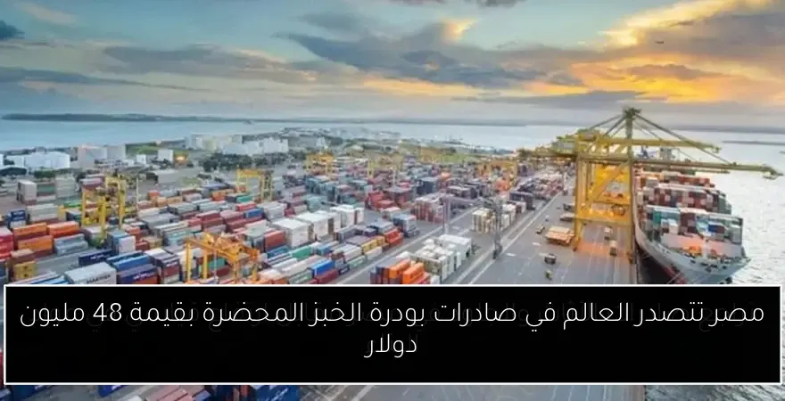مصر تتصدر العالم في صادرات بودرة الخبز المحضرة بقيمة 48 مليون دولار