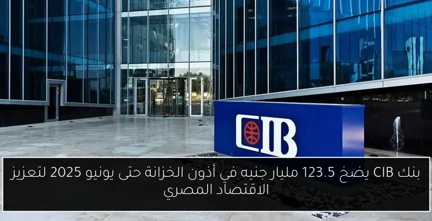 بنك CIB يضخ 123.5 مليار جنيه في أذون الخزانة حتى يونيو 2025 لتعزيز الاقتصاد المصري