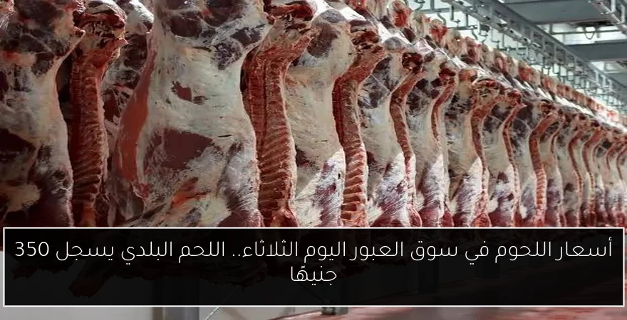 أسعار اللحوم في سوق العبور اليوم الثلاثاء.. اللحم البلدي يسجل 350 جنيهًا