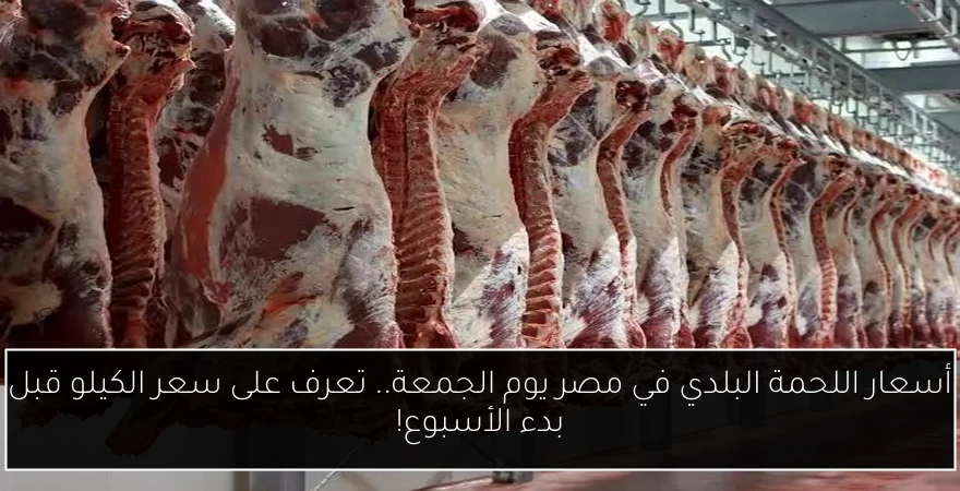 أسعار اللحمة البلدي في مصر يوم الجمعة.. تعرف على سعر الكيلو قبل بدء الأسبوع!