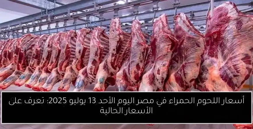 أسعار اللحوم الحمراء في مصر اليوم الأحد 13 يوليو 2025: تعرف على الأسعار الحالية
