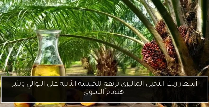 أسعار زيت النخيل الماليزي ترتفع للجلسة الثانية على التوالي وتثير اهتمام السوق