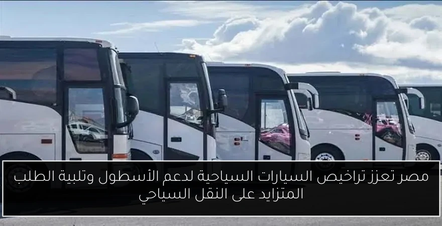 مصر تعزز تراخيص السيارات السياحية لدعم الأسطول وتلبية الطلب المتزايد على النقل السياحي