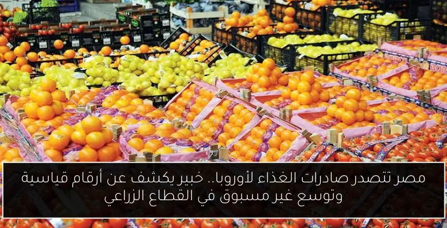 مصر تتصدر صادرات الغذاء لأوروبا.. خبير يكشف عن أرقام قياسية وتوسع غير مسبوق في القطاع الزراعي