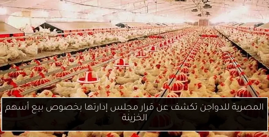 المصرية للدواجن تكشف عن قرار مجلس إدارتها بخصوص بيع أسهم الخزينة