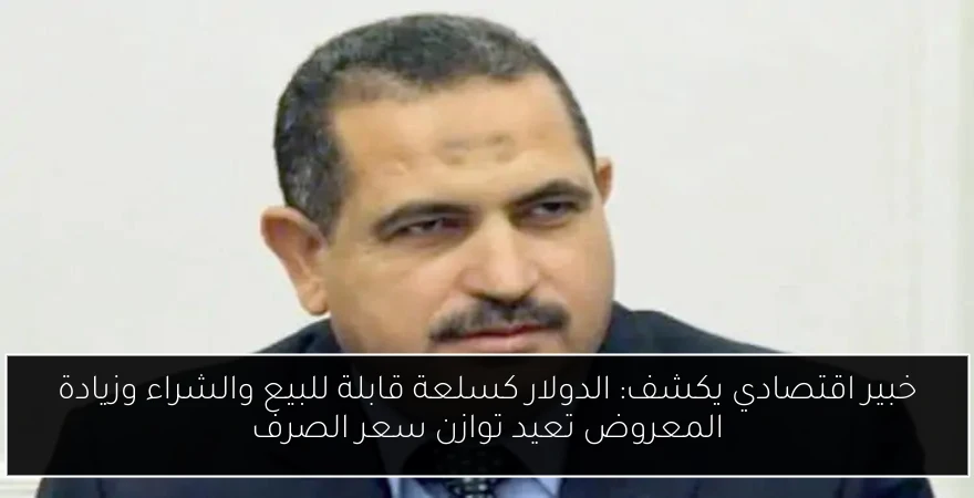 خبير اقتصادي يكشف: الدولار كسلعة قابلة للبيع والشراء وزيادة المعروض تعيد توازن سعر الصرف