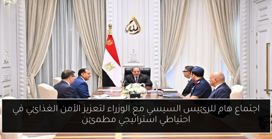 اجتماع هام للرئيس السيسي مع الوزراء لتعزيز الأمن الغذائي في احتياطي استراتيجي مطمئن