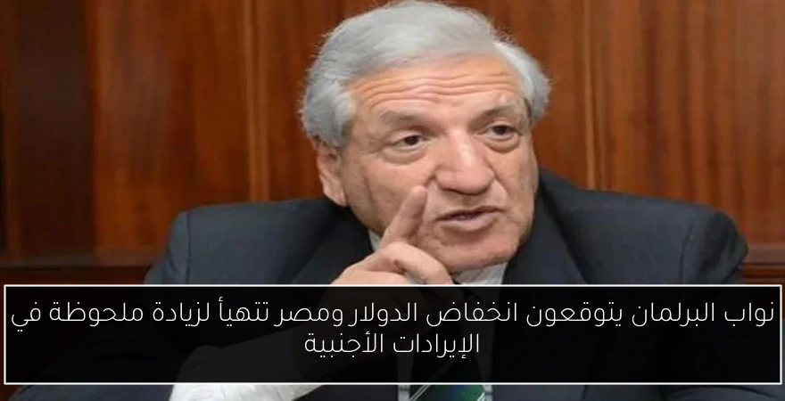 نواب البرلمان يتوقعون انخفاض الدولار ومصر تتهيأ لزيادة ملحوظة في الإيرادات الأجنبية