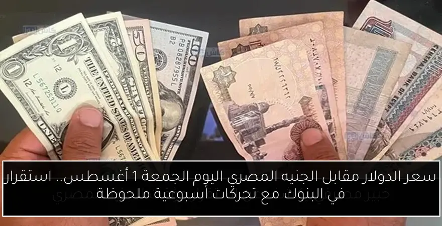 سعر الدولار مقابل الجنيه المصري اليوم الجمعة 1 أغسطس.. استقرار في البنوك مع تحركات أسبوعية ملحوظة