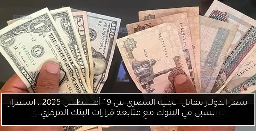 سعر الدولار مقابل الجنيه المصري في 19 أغسطس 2025.. استقرار نسبي في البنوك مع متابعة قرارات البنك المركزي