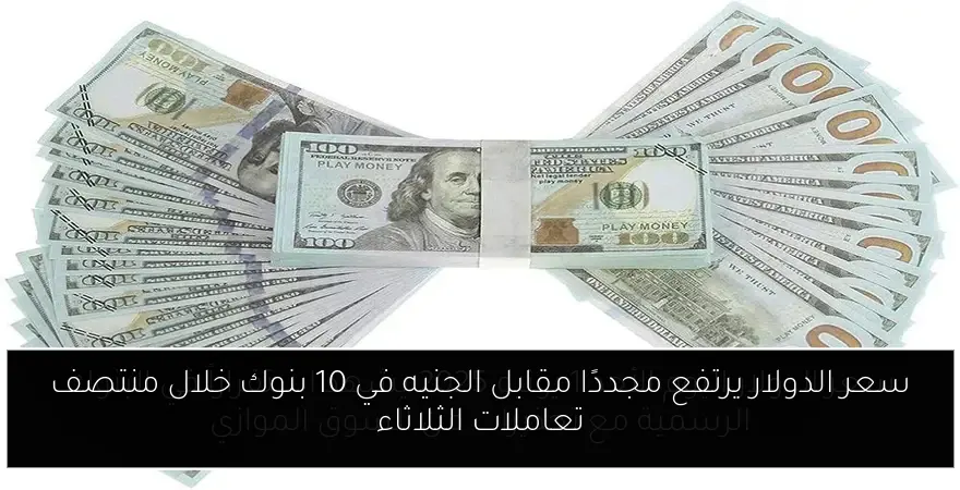 سعر الدولار يرتفع مجددًا مقابل الجنيه في 10 بنوك خلال منتصف تعاملات الثلاثاء