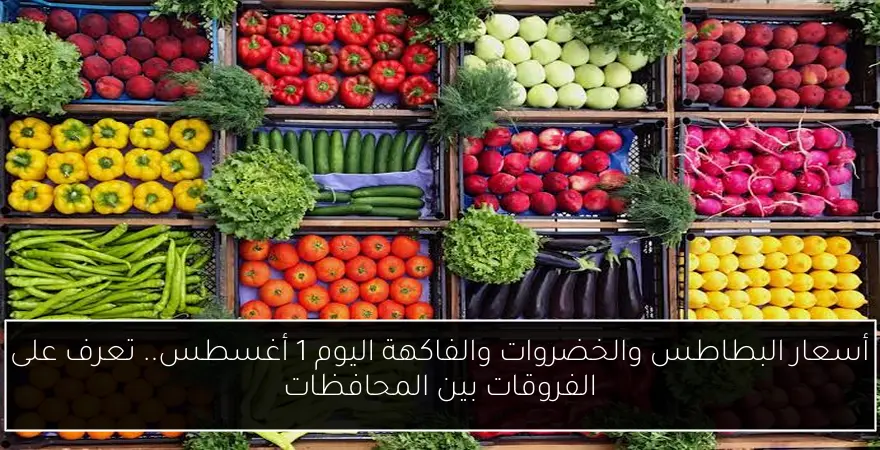 أسعار البطاطس والخضروات والفاكهة اليوم 1 أغسطس.. تعرف على الفروقات بين المحافظات