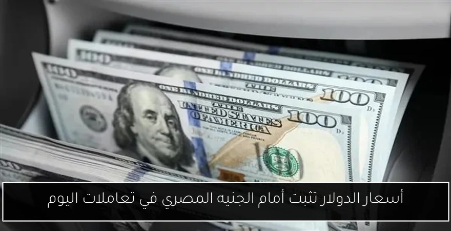 أسعار الدولار تثبت أمام الجنيه المصري في تعاملات اليوم
