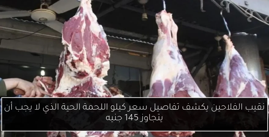 نقيب الفلاحين يكشف تفاصيل سعر كيلو اللحمة الحية الذي لا يجب أن يتجاوز 145 جنيه