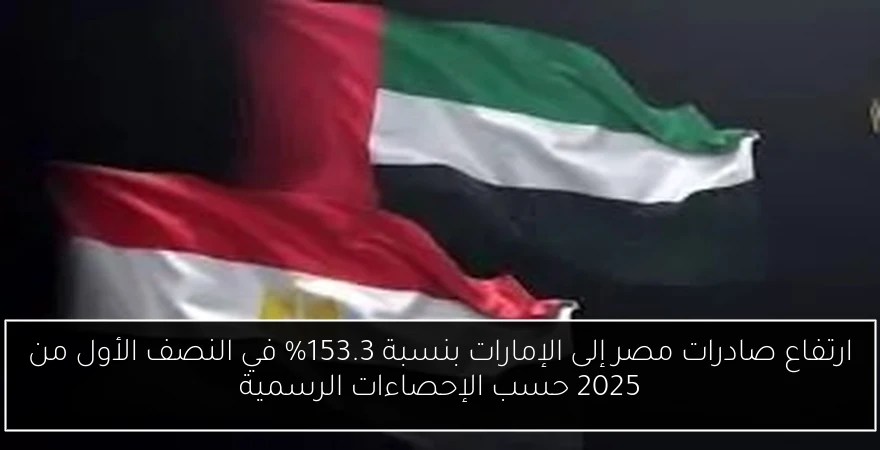 ارتفاع صادرات مصر إلى الإمارات بنسبة 153.3% في النصف الأول من 2025 حسب الإحصاءات الرسمية