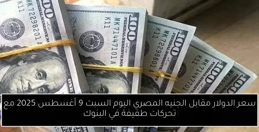 سعر الدولار مقابل الجنيه المصري اليوم السبت 9 أغسطس 2025 مع تحركات طفيفة في البنوك