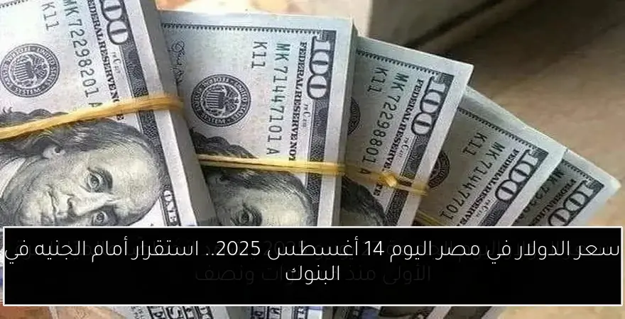 سعر الدولار في مصر اليوم 14 أغسطس 2025.. استقرار أمام الجنيه في البنوك
