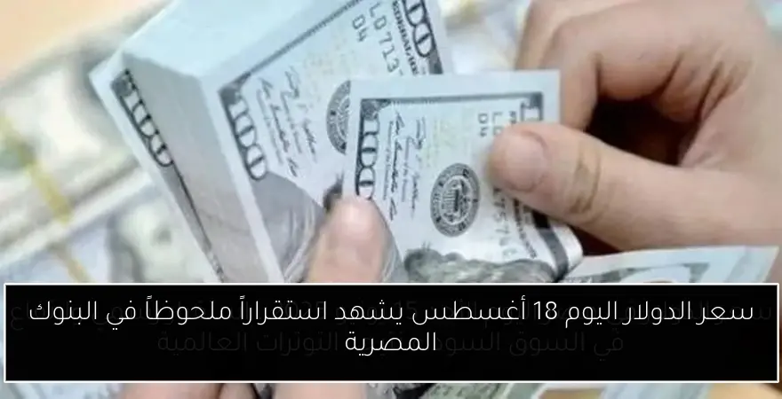 سعر الدولار اليوم 18 أغسطس يشهد استقراراً ملحوظاً في البنوك المصرية