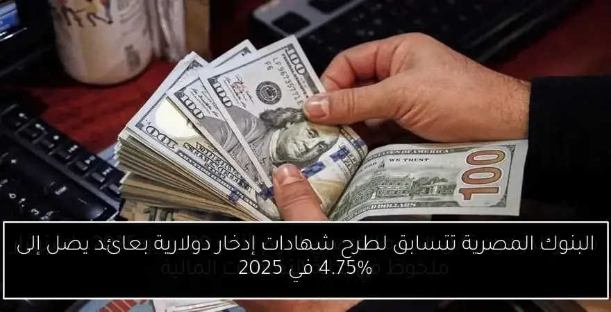 البنوك المصرية تتسابق لطرح شهادات إدخار دولارية بعائد يصل إلى 4.75% في 2025