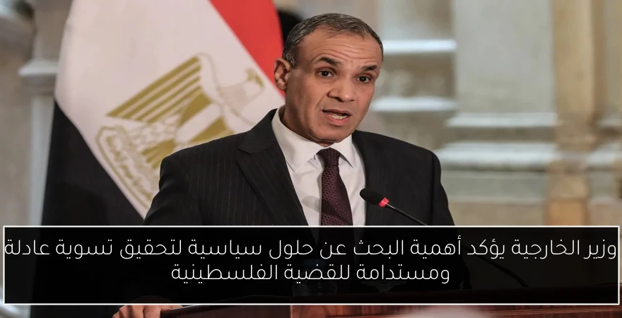 وزير الخارجية يؤكد أهمية البحث عن حلول سياسية لتحقيق تسوية عادلة ومستدامة للقضية الفلسطينية