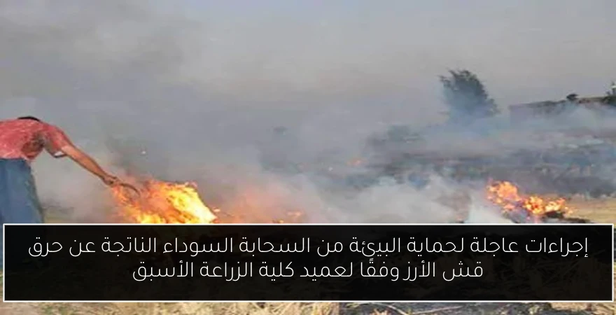 إجراءات عاجلة لحماية البيئة من السحابة السوداء الناتجة عن حرق قش الأرز وفقًا لعميد كلية الزراعة الأسبق