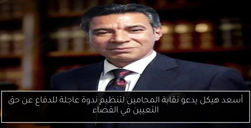 أسعد هيكل يدعو نقابة المحامين لتنظيم ندوة عاجلة للدفاع عن حق التعيين في القضاء