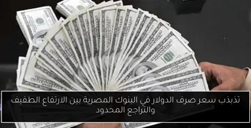 تذبذب سعر صرف الدولار في البنوك المصرية بين الارتفاع الطفيف والتراجع المحدود
