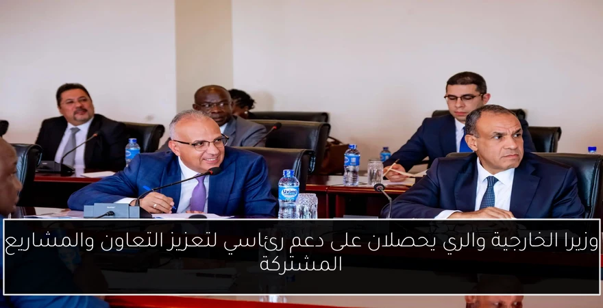 وزيرا الخارجية والري يحصلان على دعم رئاسي لتعزيز التعاون والمشاريع المشتركة