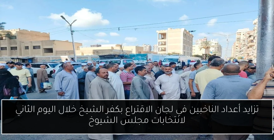 تزايد أعداد الناخبين في لجان الاقتراع بكفر الشيخ خلال اليوم الثاني لانتخابات مجلس الشيوخ