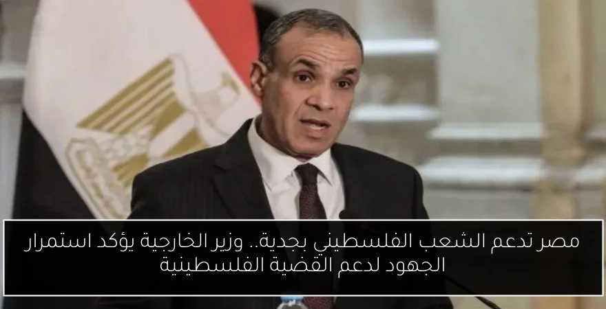 مصر تدعم الشعب الفلسطيني بجدية.. وزير الخارجية يؤكد استمرار الجهود لدعم القضية الفلسطينية