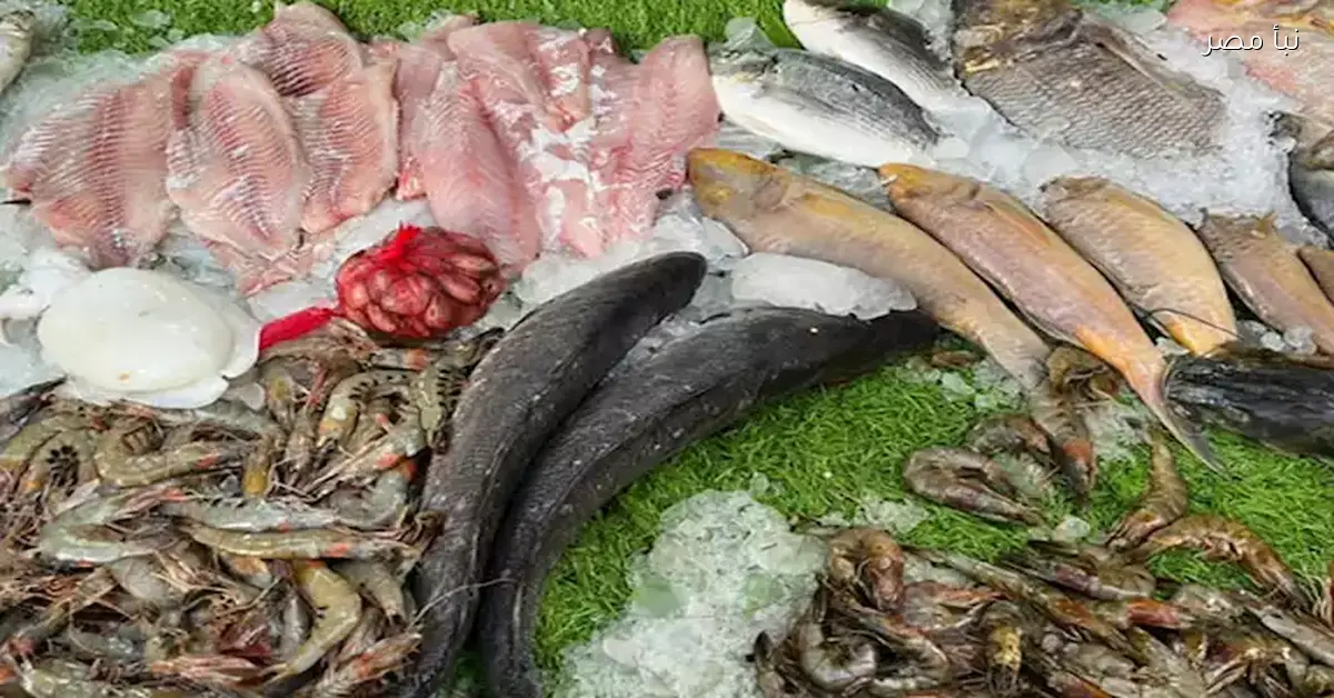 أسعار الأسماك والمأكولات البحرية تتراجع في سوق العبور اليوم