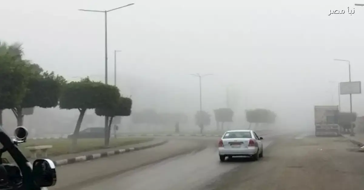 الأرصاد الجوية تكشف عن توقعات الطقس للساعات القادمة مع برودة وشبورة وأمطار
