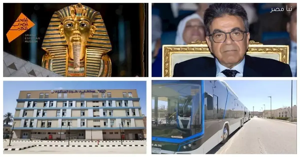 بيع المطارات المصرية: نقيب البيطريين يوضح السعر العادل لكيلو اللحمة