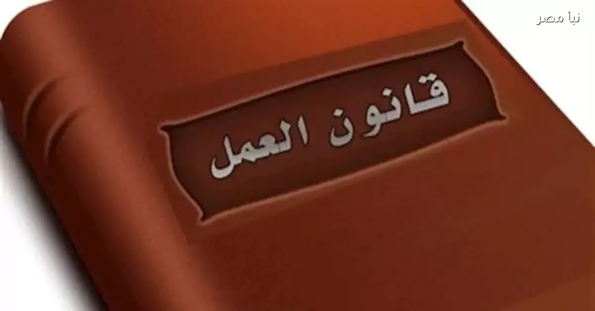 قانون العمل الجديد يضمن زيادة لا تقل عن 3% في أجور العمال